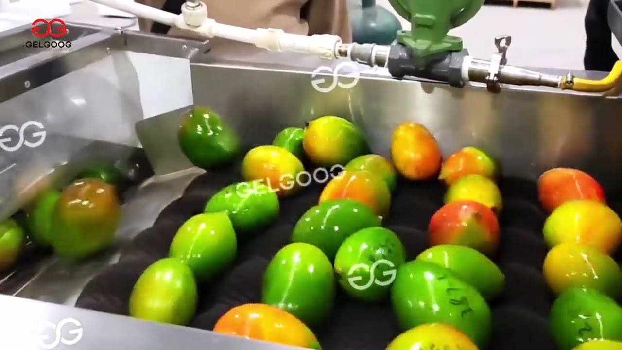 Fully Automated Mango Cleaning, Waxing, Grading and Packaging System