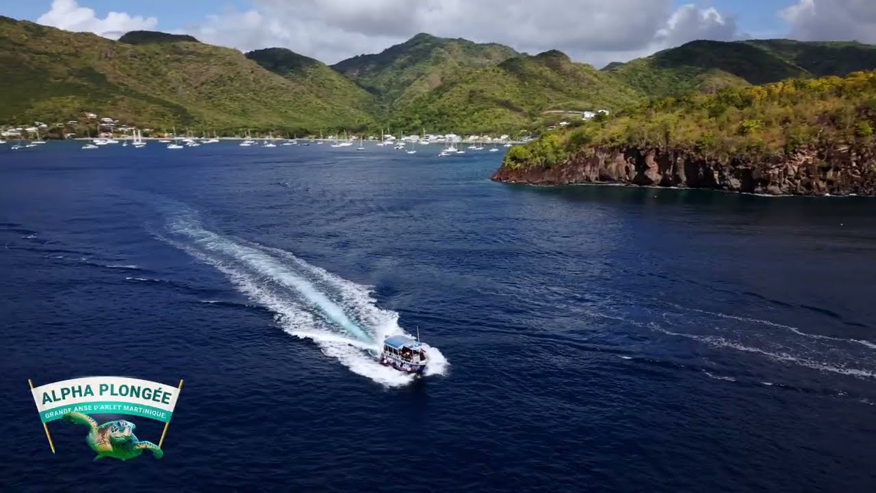 ALPHA PLONGEE MARTINIQUE 2026