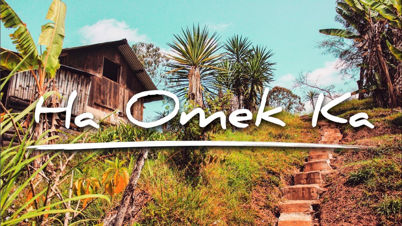 Comunidad ecológica y autosustentable Ha Omek Ka (Tzajalá Chiapas)