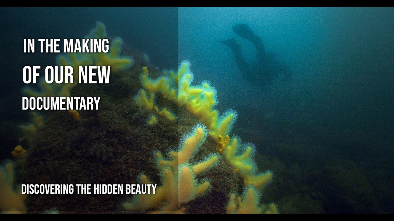 In the making of our new documentary about the Swedish west coast.