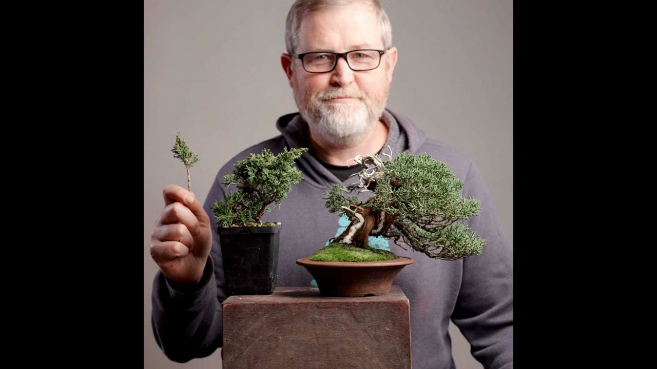 How you've been growing junipers wrong