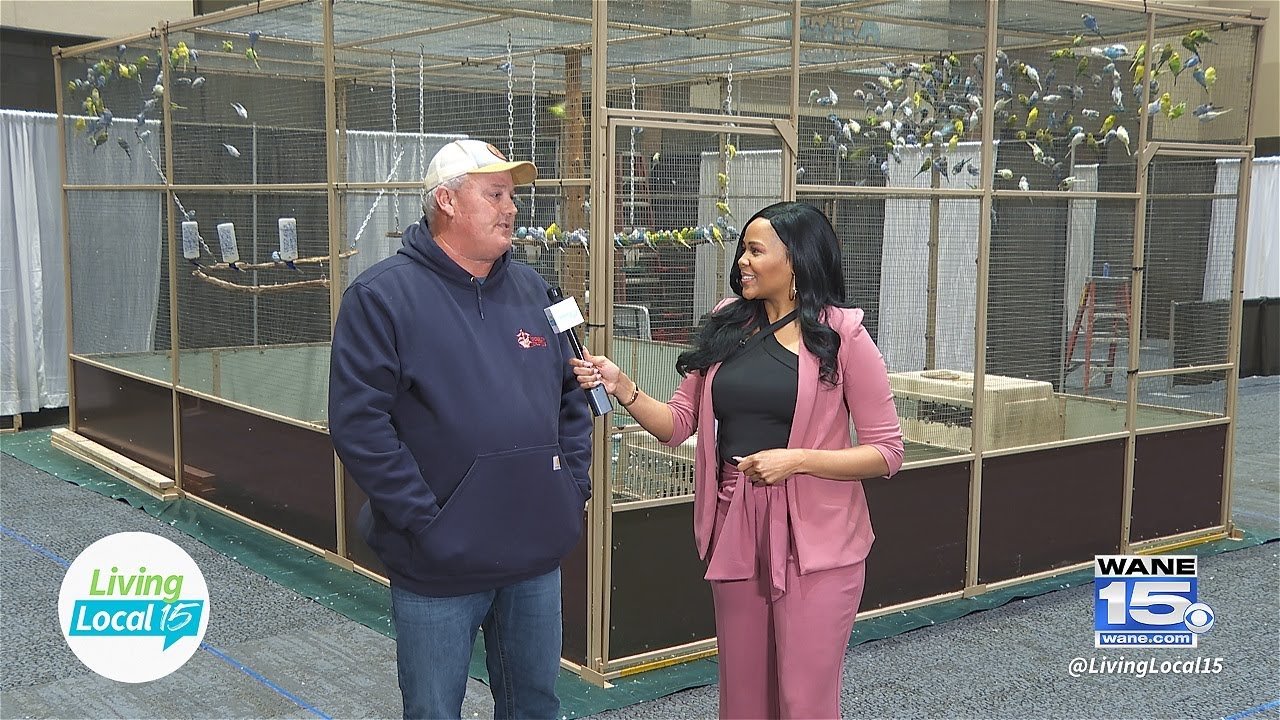 Parakeet Encounter at the Fort Wayne Home & Garden Show | Living Local 15