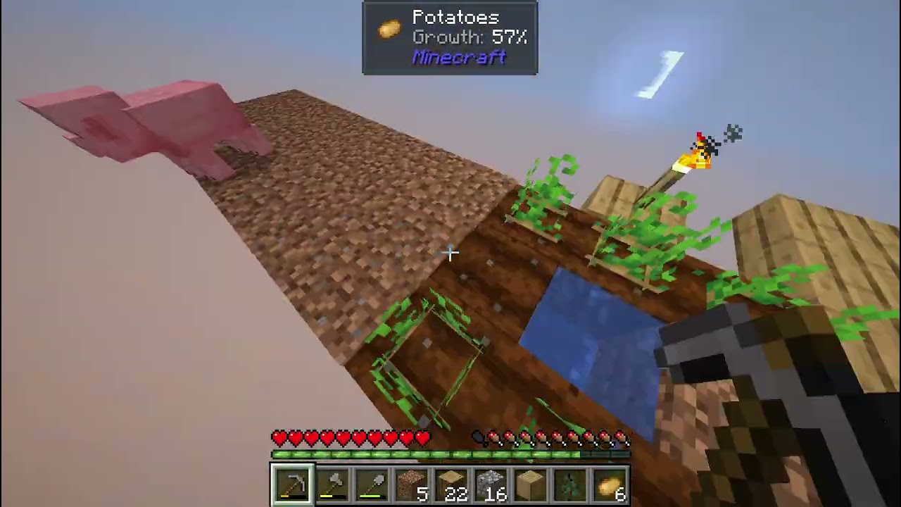 Minecraft  one block making animal house