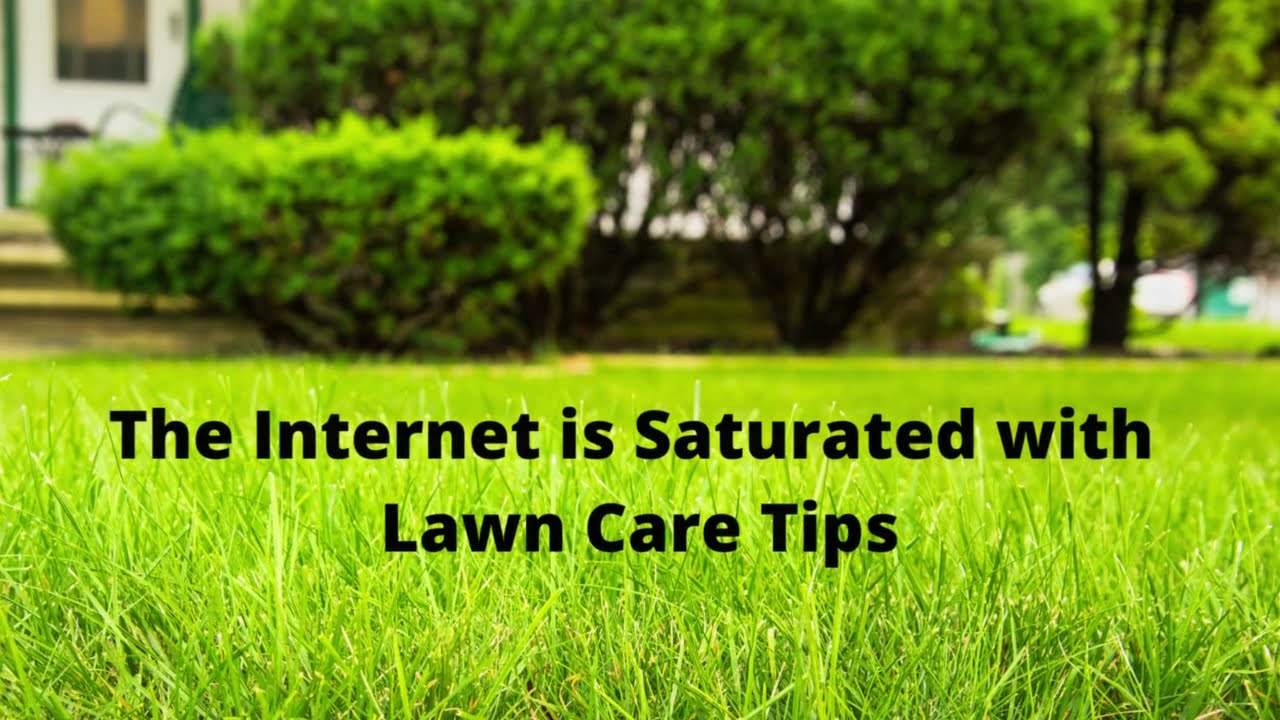 11 Lawn Care Myths: Stop Believing in These
