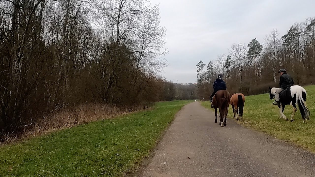 Von Reutlingen nach Tübingen mit dem Fahrrad über  Ohmenhausen, Immenhausen und Ehrenbachtal