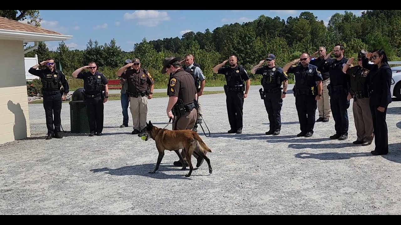 Retired K-9 Bety's Final Walk