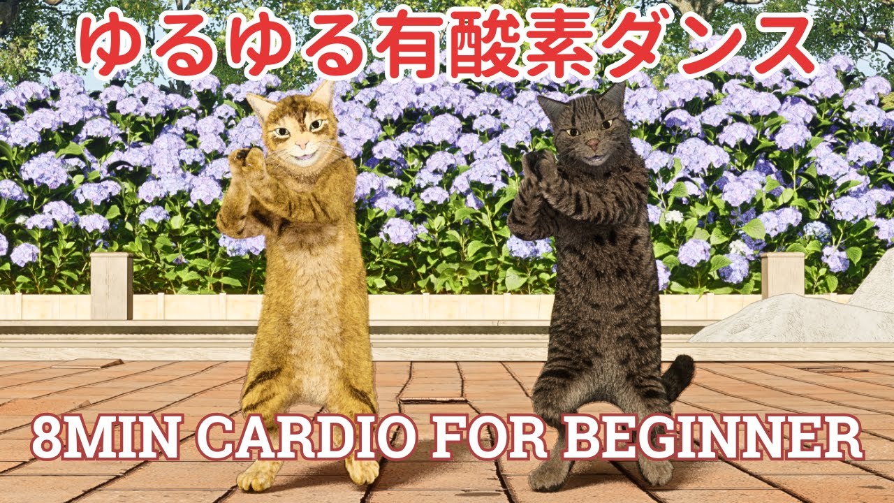初心者向け！ゆるゆる有酸素ダンス😸