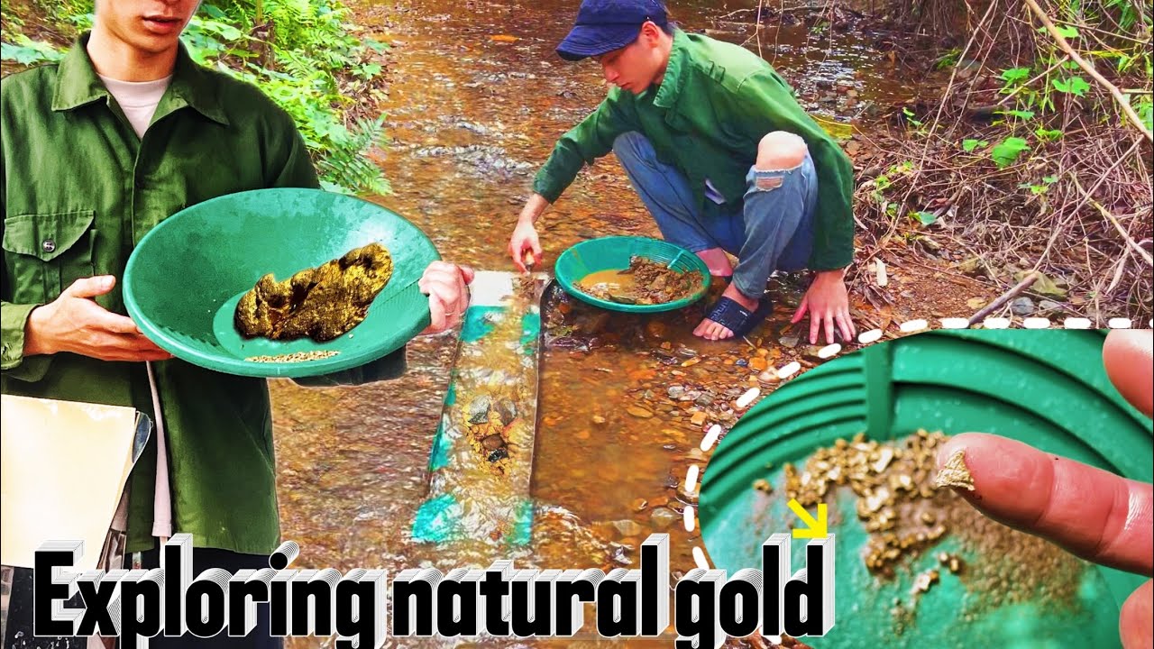 Gold rush 2025! Gold Panning Adventure, Explore Natural Gold Finds!