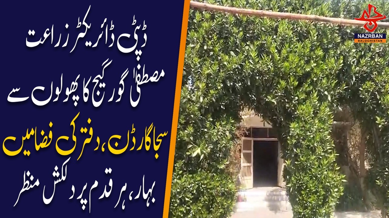 Deputy Director Agriculture Decorates Office Garden with Beautiful Flowers |NazrbanBalochistan