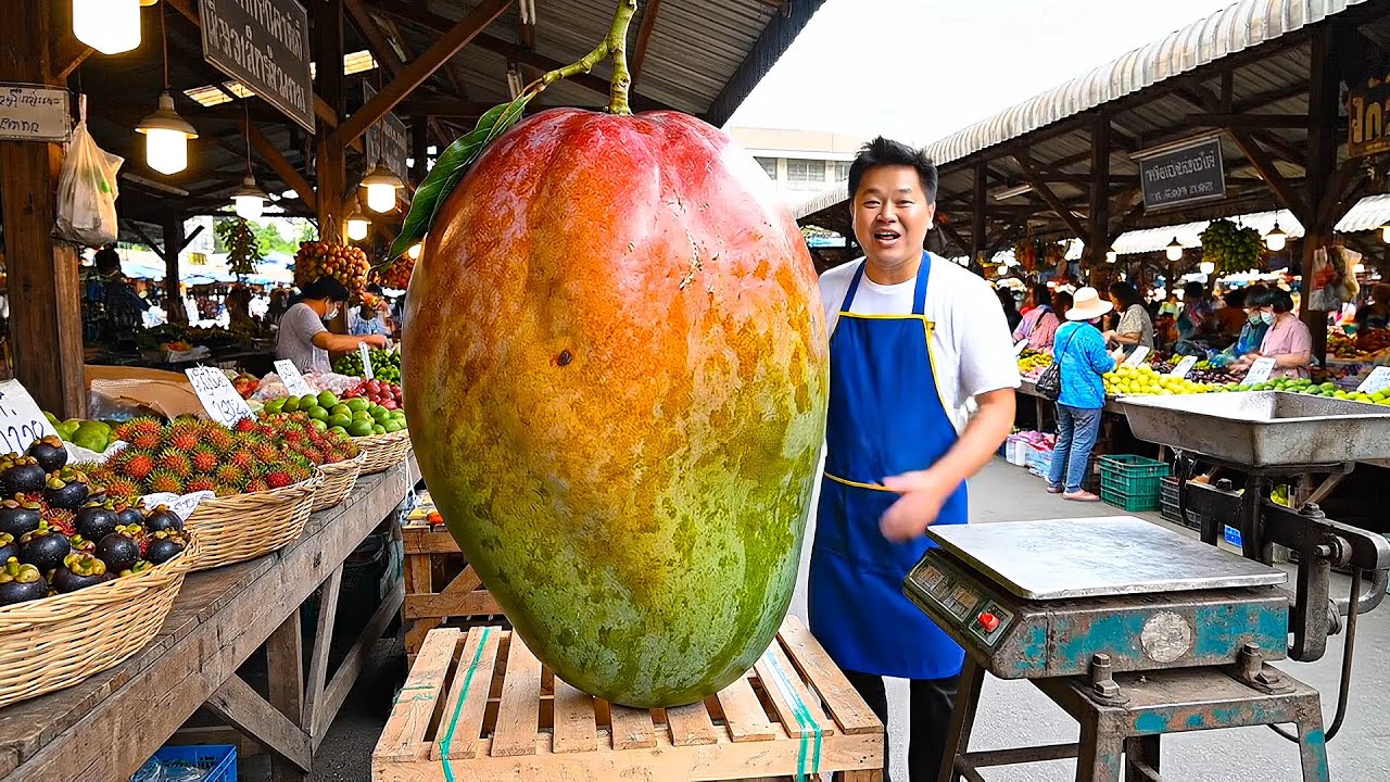 Traditional Mango Processing: Harvest to Market Journey | Food Supply Chain