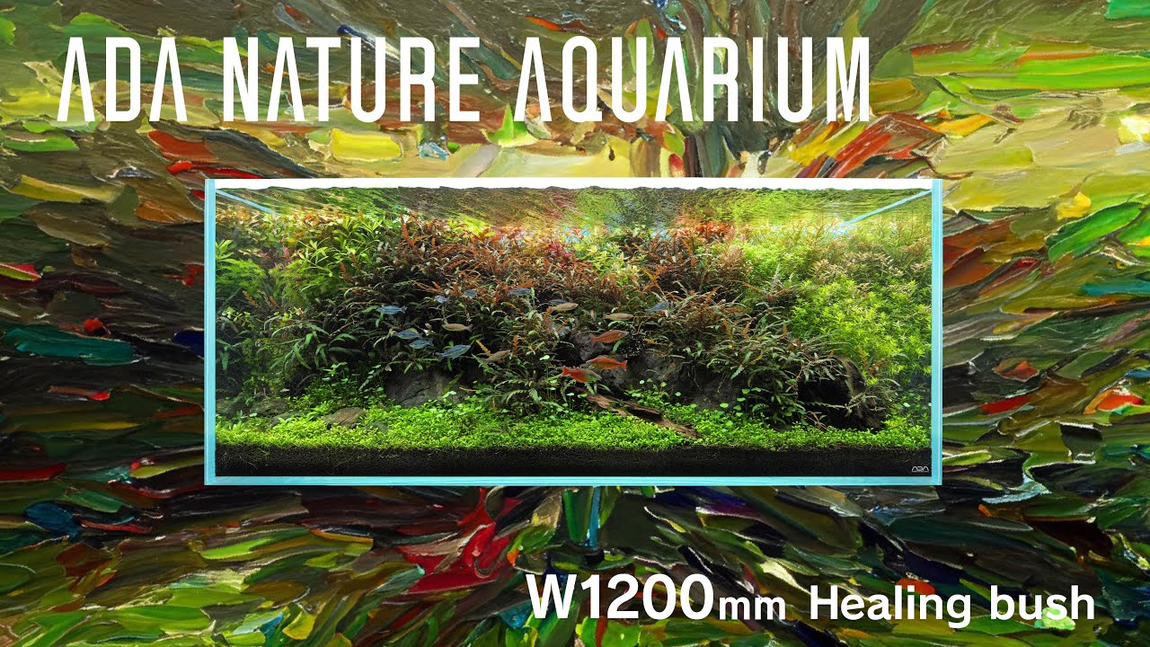 [ADAview] Healing bush  -W1200mm Nature Aquarium Layout-【EN/JP Sub.】