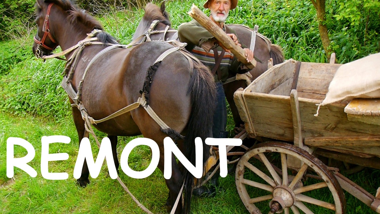 WÓZ KONNY ŻELAŹNIAK REMONT