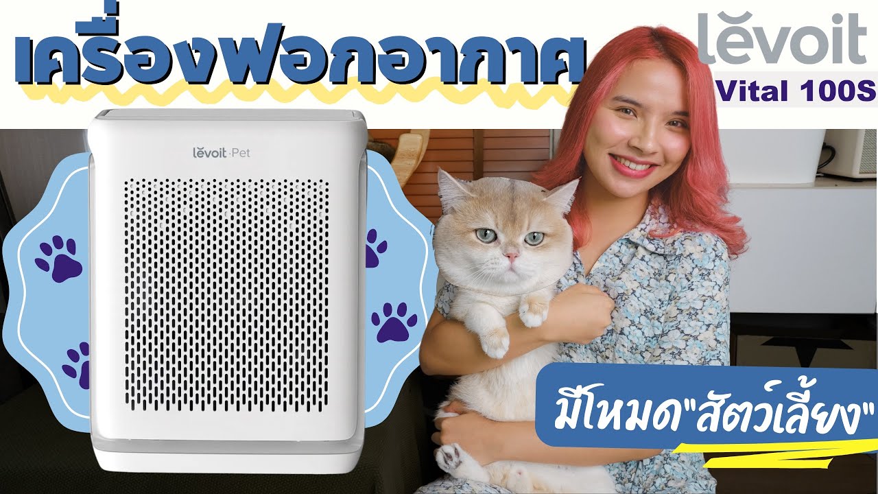 [Full Review Levoit Vital 100S] เครื่องฟอกอากาศที่มีโหมดสัตว์เลี้ยง อากาศสดชื่นขึ้น ดูดกลิ่น ดูดขน??
