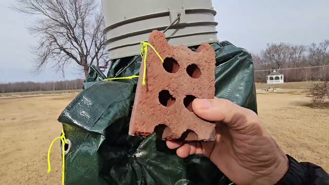 Как избежать ошибок при упаковке инжира