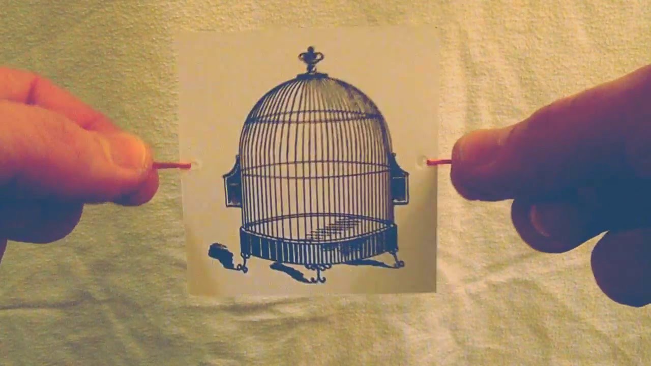 Thaumatrope Trompe-L'Oeil optical toy cards demo video