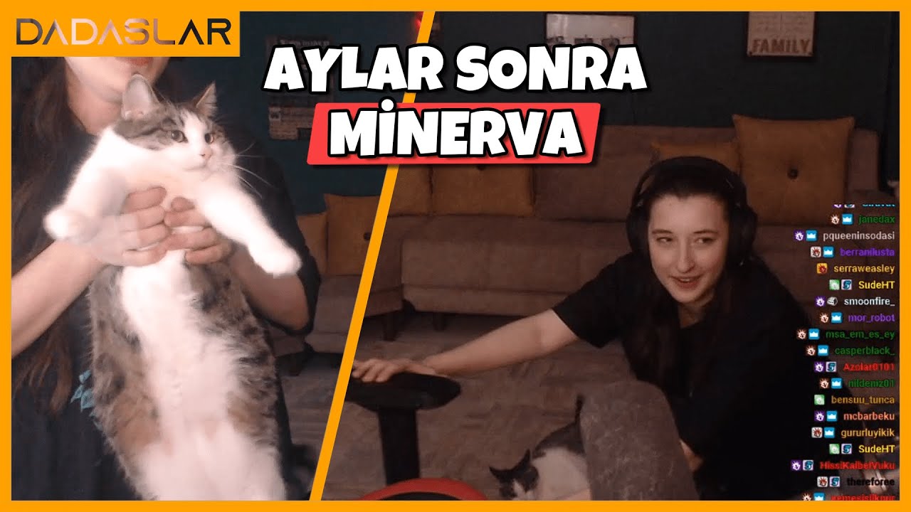 Pqueen - Kedisi Minerva Aylar Sonra Yayına Geliyor !
