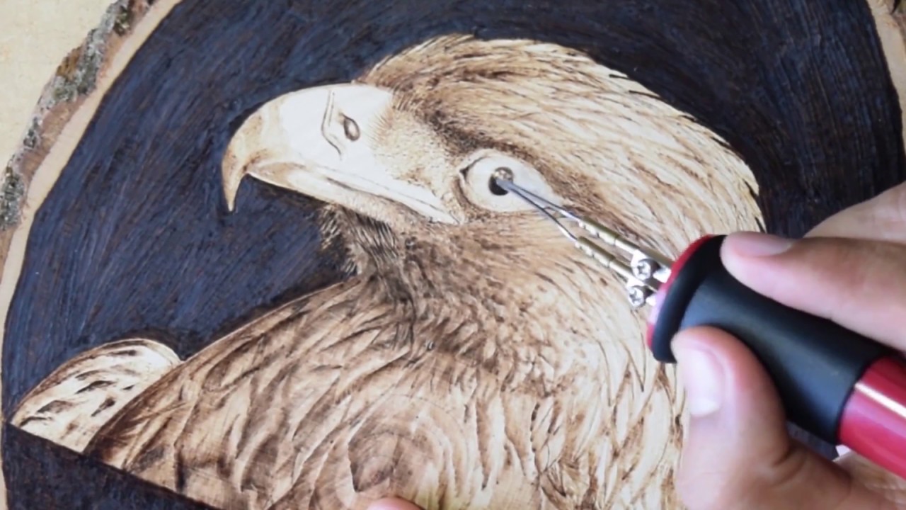 Pirograbado en Madera  Aguila 2/2  by Arte Natural