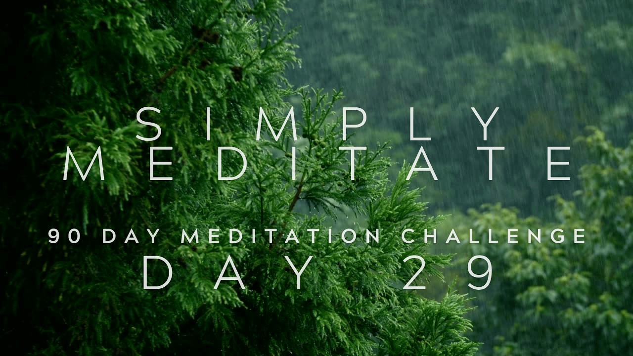 STRESS . ANXIETY . RUMINATING THOUGHTS | Day 29 of 90 day Meditation Challenge | I DARE YOU