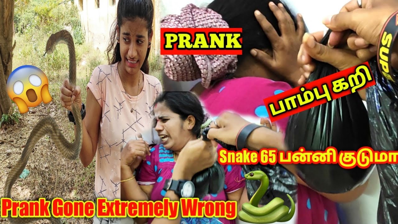 பாம்பு கறி 🐍 Prank on My Mom | Mom Ran away 🏃பாம்பு 65 பண்ணிக்குடுமா😂 Prank Gone Wrong | Tamil prank