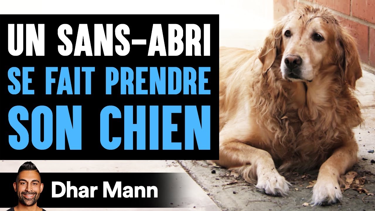 Un Sans-Abri SE FAIT PRENDRE SON CHIEN | Dhar Mann