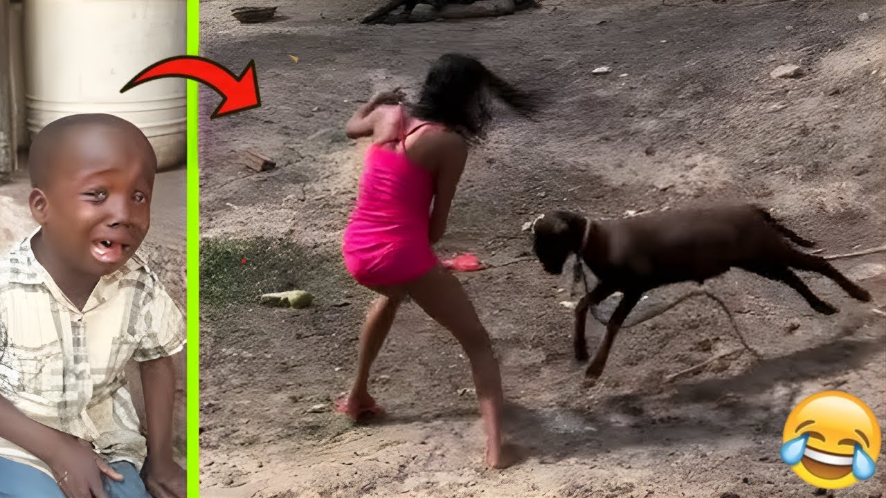 Crazy Funniest Videos Ever In The World! (try not to laugh 56)