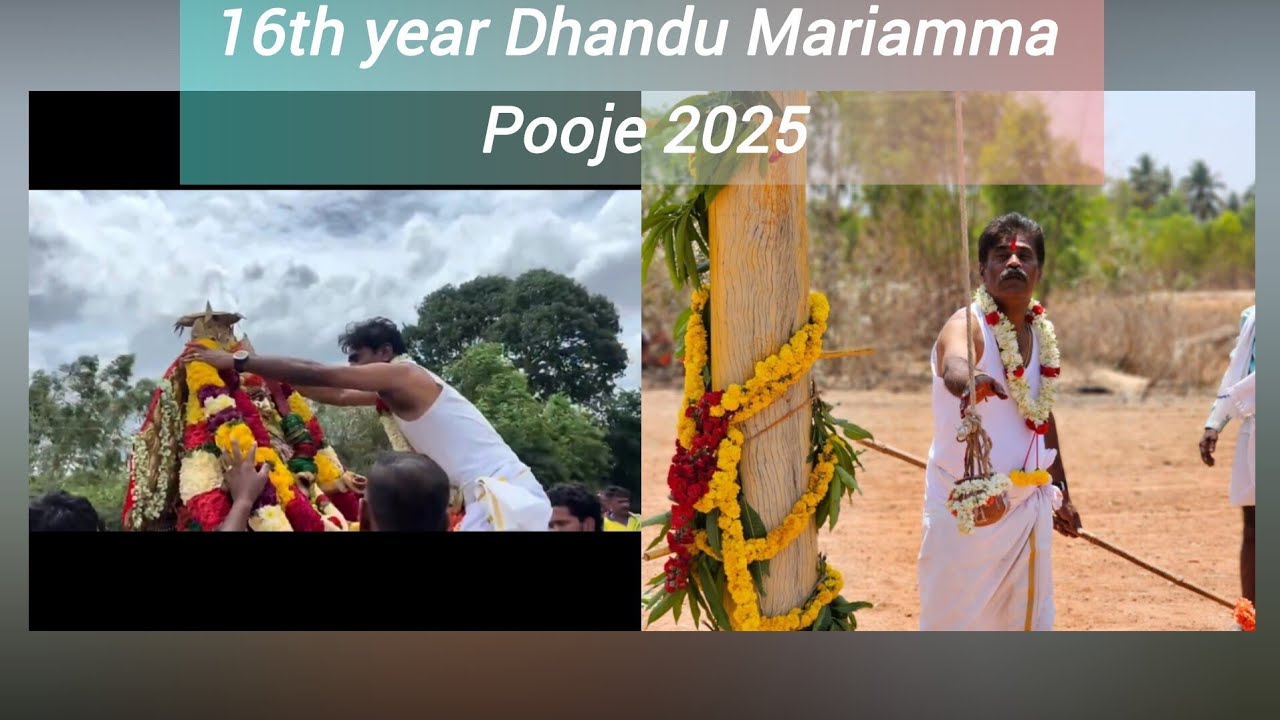 16th year Dhandu Mariamma utsava  2025 @kesaranahalli