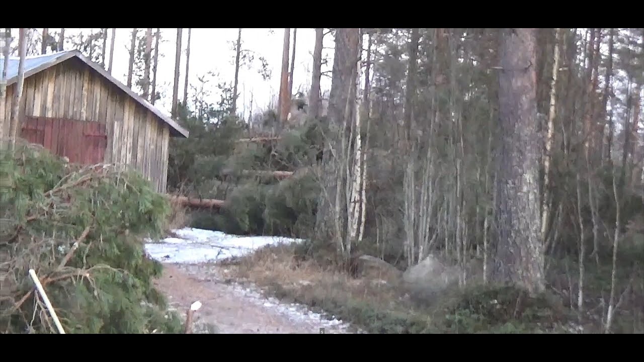 27.12.2025 Myrskytuhoja Evijärvellä