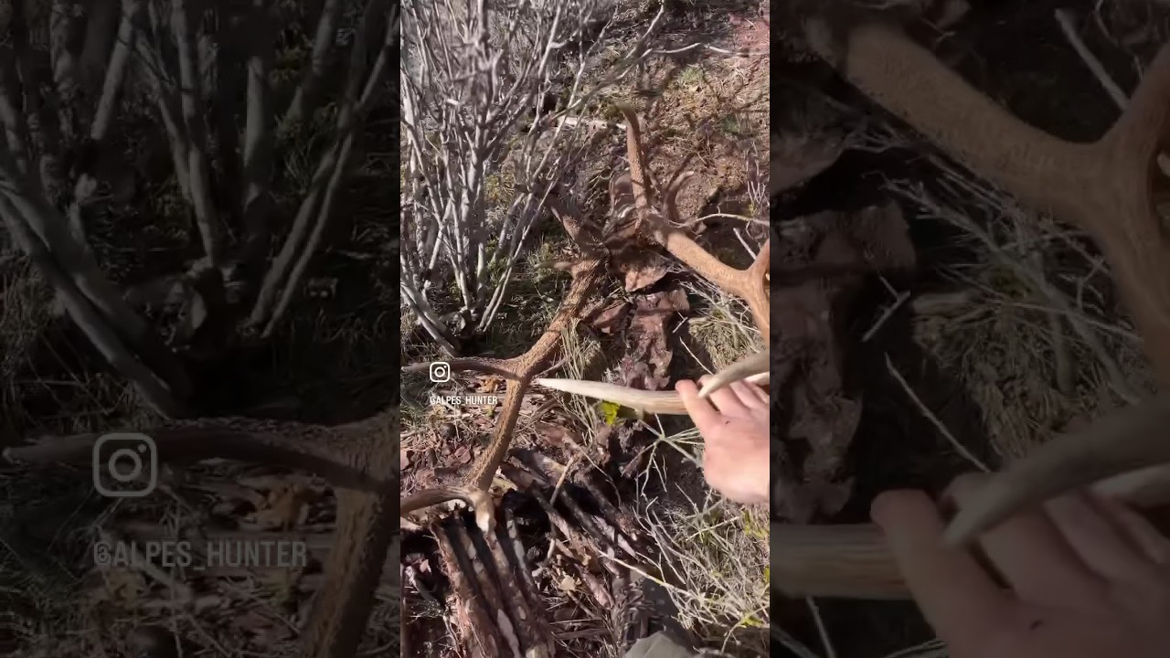 DÉCOUVERTE INCROYABLE EN MONTAGNE 💀 