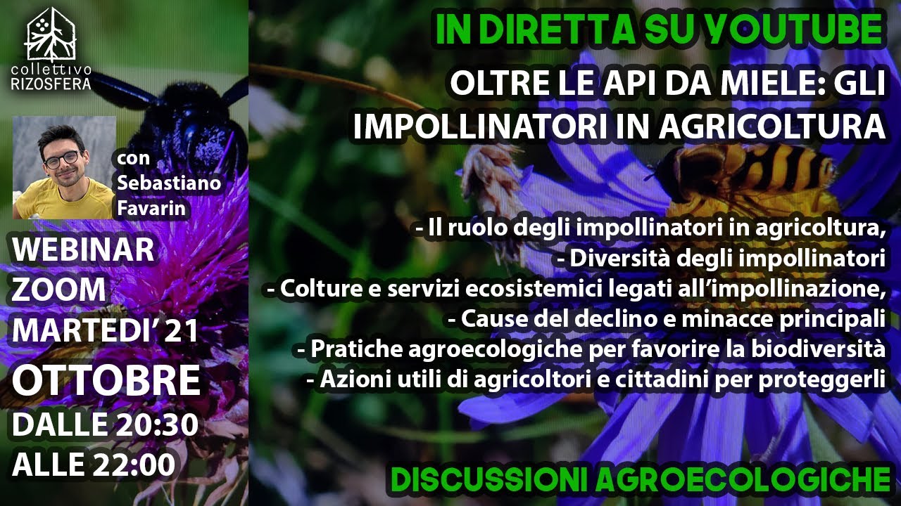 Oltre le API da MIELE: Gli IMPOLLINATORI in AGRICOLTURA - Discussioni Simbiotiche