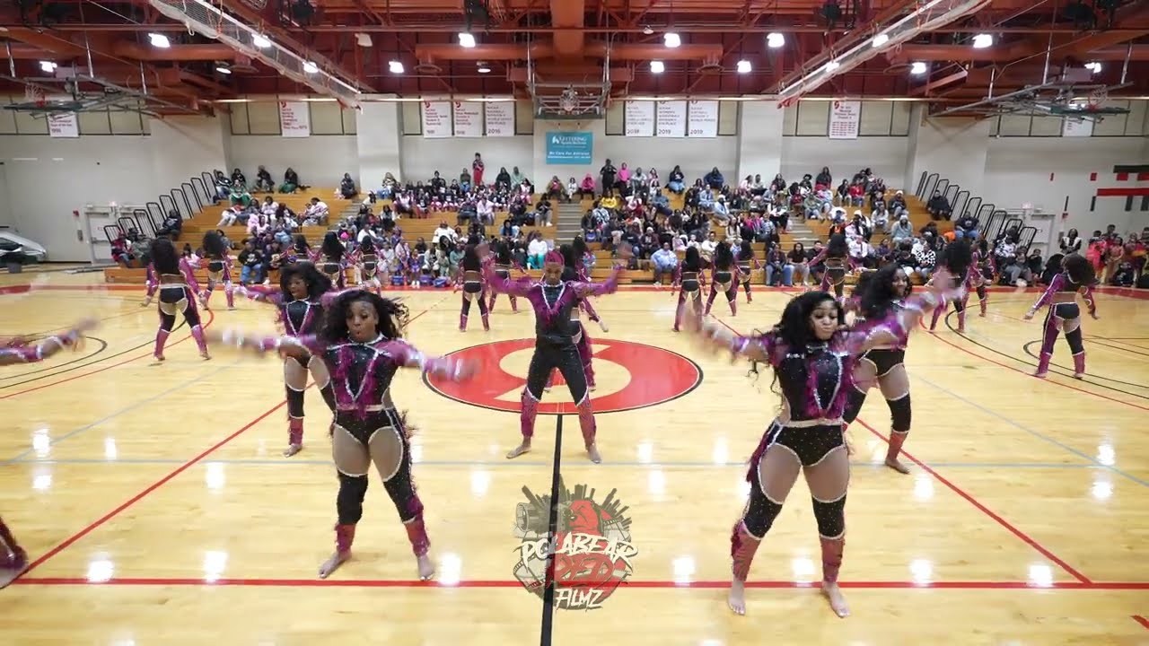 Devastation Dance Company | Elite FIELDSHOW | 3DOC | Rumble in the Jungle | Dance Competition