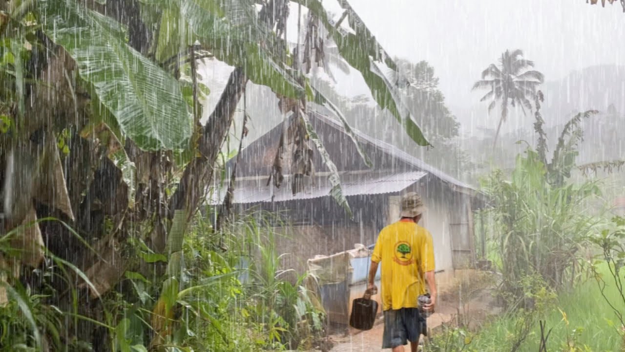 Tak Di Sangka., Seenak Ini, Hujan Deras Mengguyur Kampung Yang Indah, Suasana Pedesaan Jawa Barat