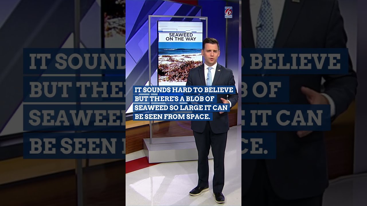 News for March 14, 2023: Massive seaweed bloom heading to Florida, Tyre Sampson Safety Act