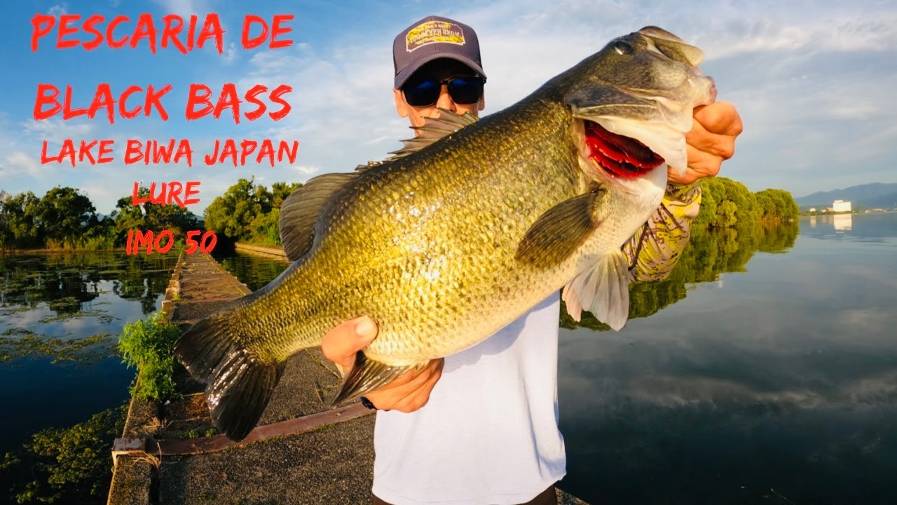 LURE GARY YAMAMOTO IMO 50 - INFALÍVEL!!! - PESCARIA DE BLACK BASS LAKE BIWA