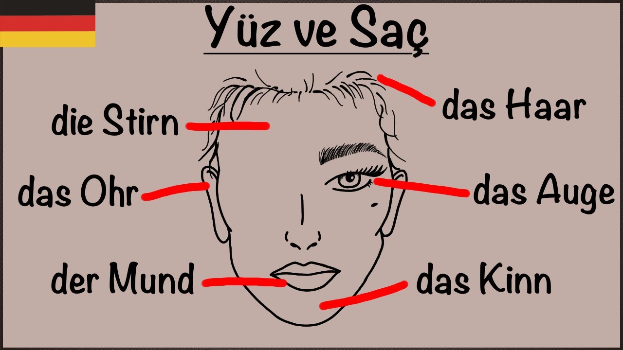 Almanca Yüz ve Saç - Das Gesicht und die Haare