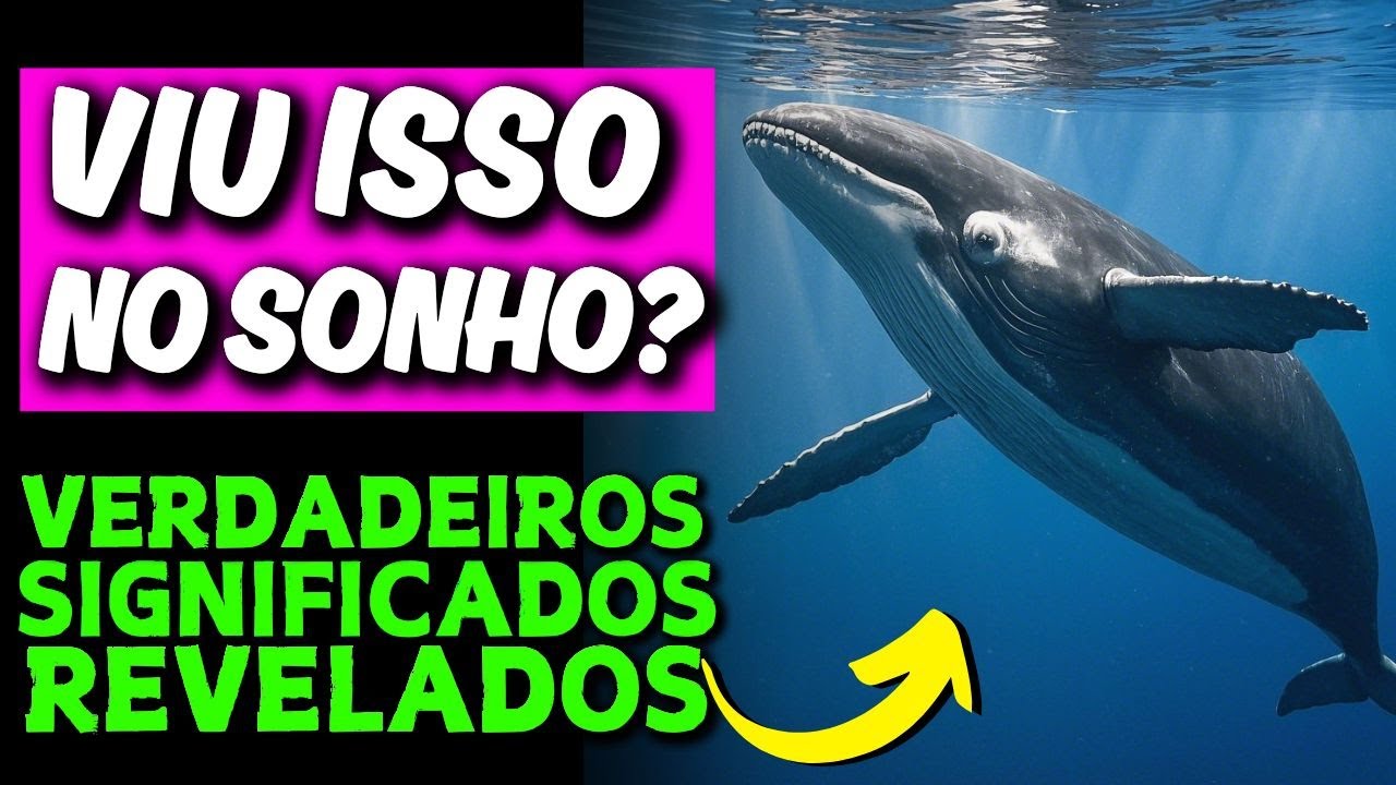 🚨ALERTA🚨 O QUE SIGNIFICA SONHAR COM BALEIA E O QUE SE DEVE FAZER AP&Oacute;S TER ESSE SONHO