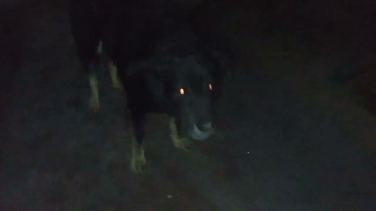 ,, Заброшенный дом