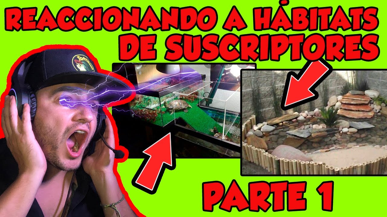 CALIFICAMOS HÁBITATS DE SUSCRIPTORES Y PASO ESTO....