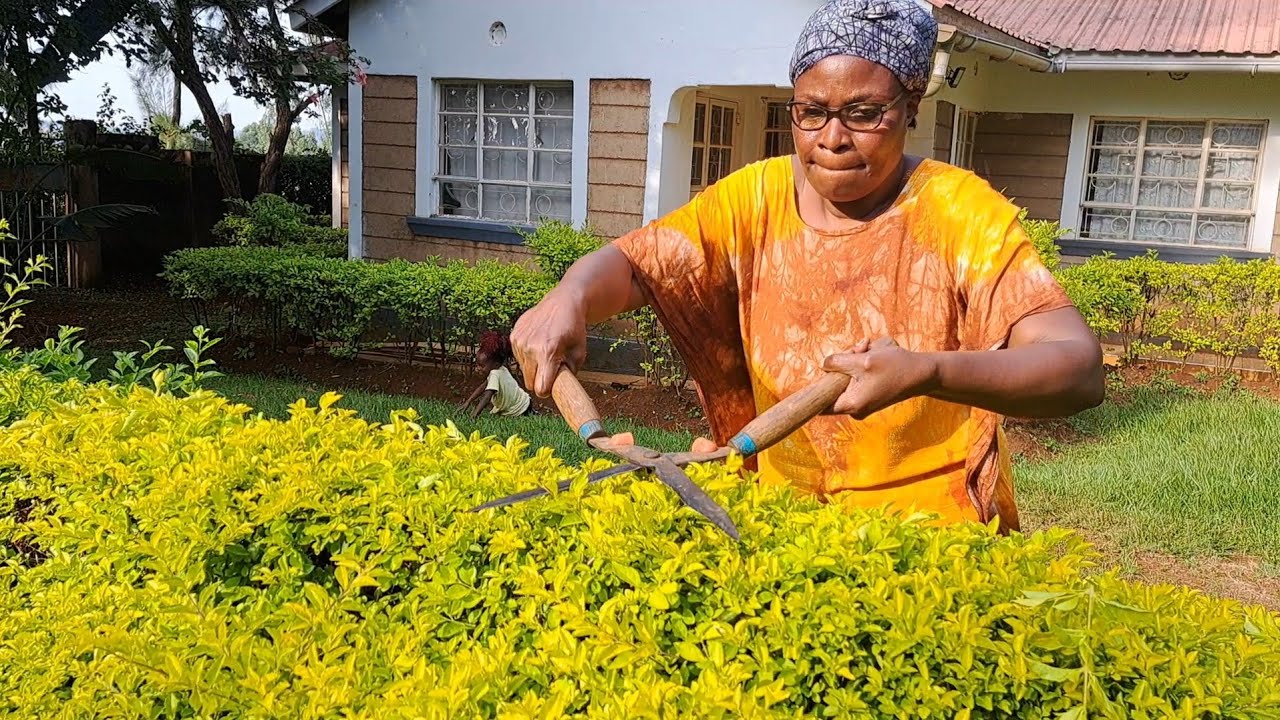 How to Enjoy Your Retirement in The Rural Home | Life After Retirement