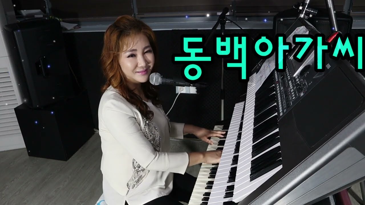 전자올겐/가수박세빈/동백아가씨(이미자)