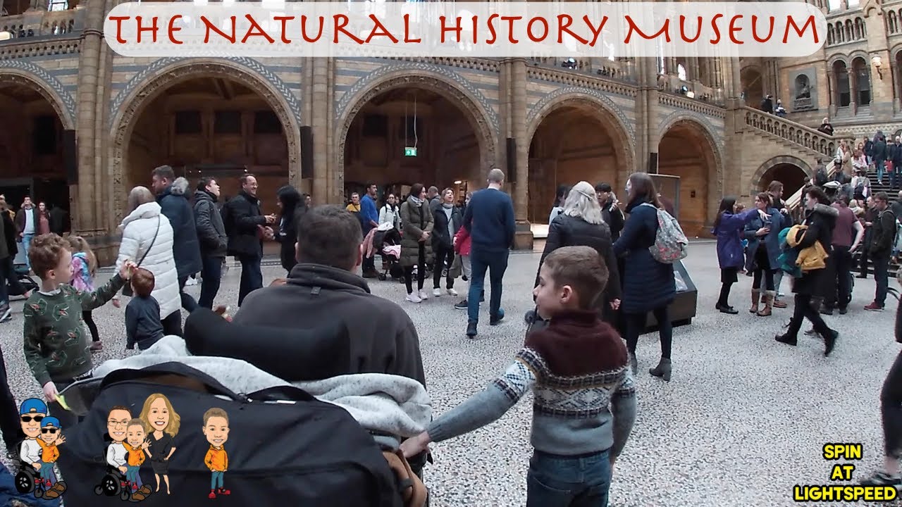 The Natural History Museum London - Wheelchair Accessible Family Day out