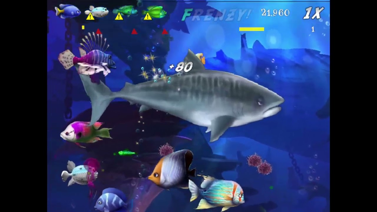 Feeding Frenzy: Rapid Rush #4 - Stage 17 to Stage 22