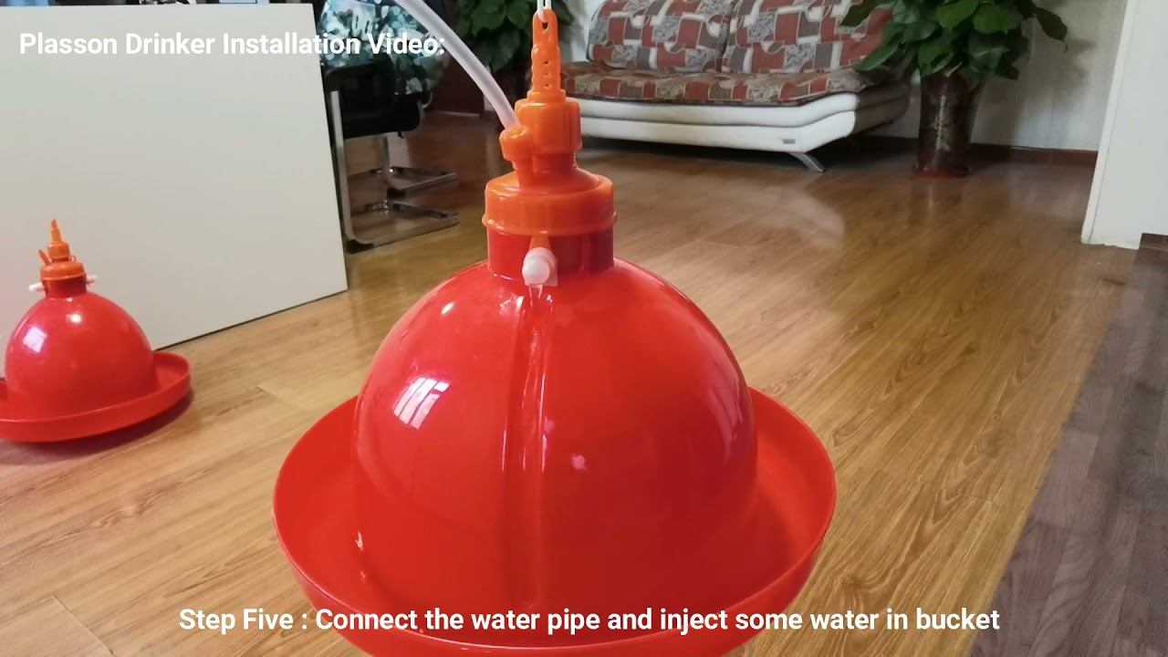 Automatic Chicken Bell Drinker Poultry House Hanging Plasson Broiler Goose Duck Bell Drinker