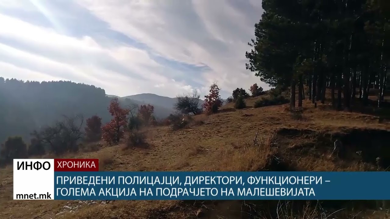 Приведени полицајци, директори, функционери – голема акција на подрачјето на Малешевијата