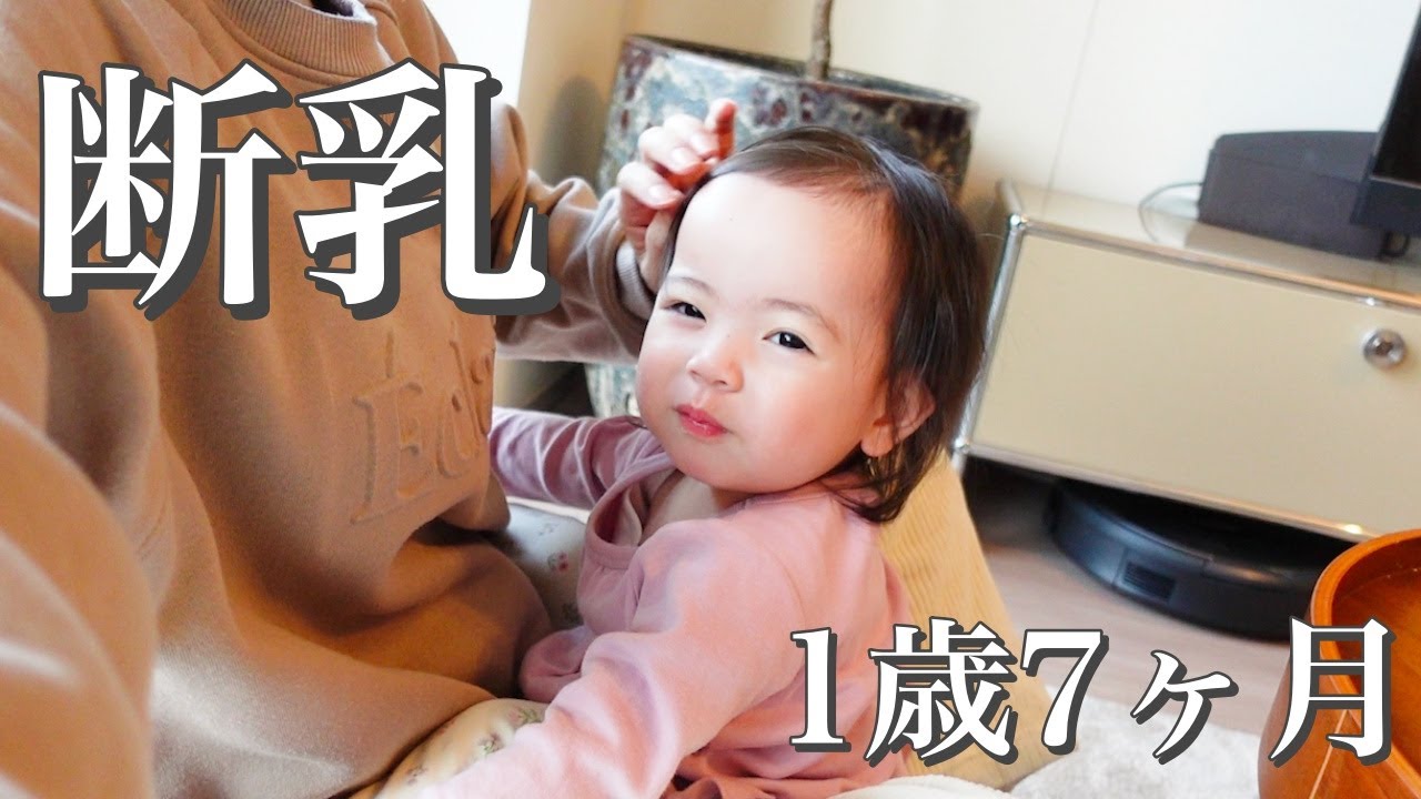 【断乳】1歳7ヶ月、最後の授乳。592日毎日飲み続けてきました(1/4)/Today is the last day of breastfeeding.
