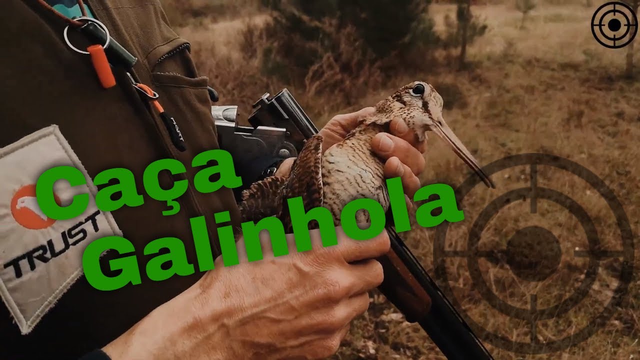 Tiro a Tiro | Caça à galinhola
