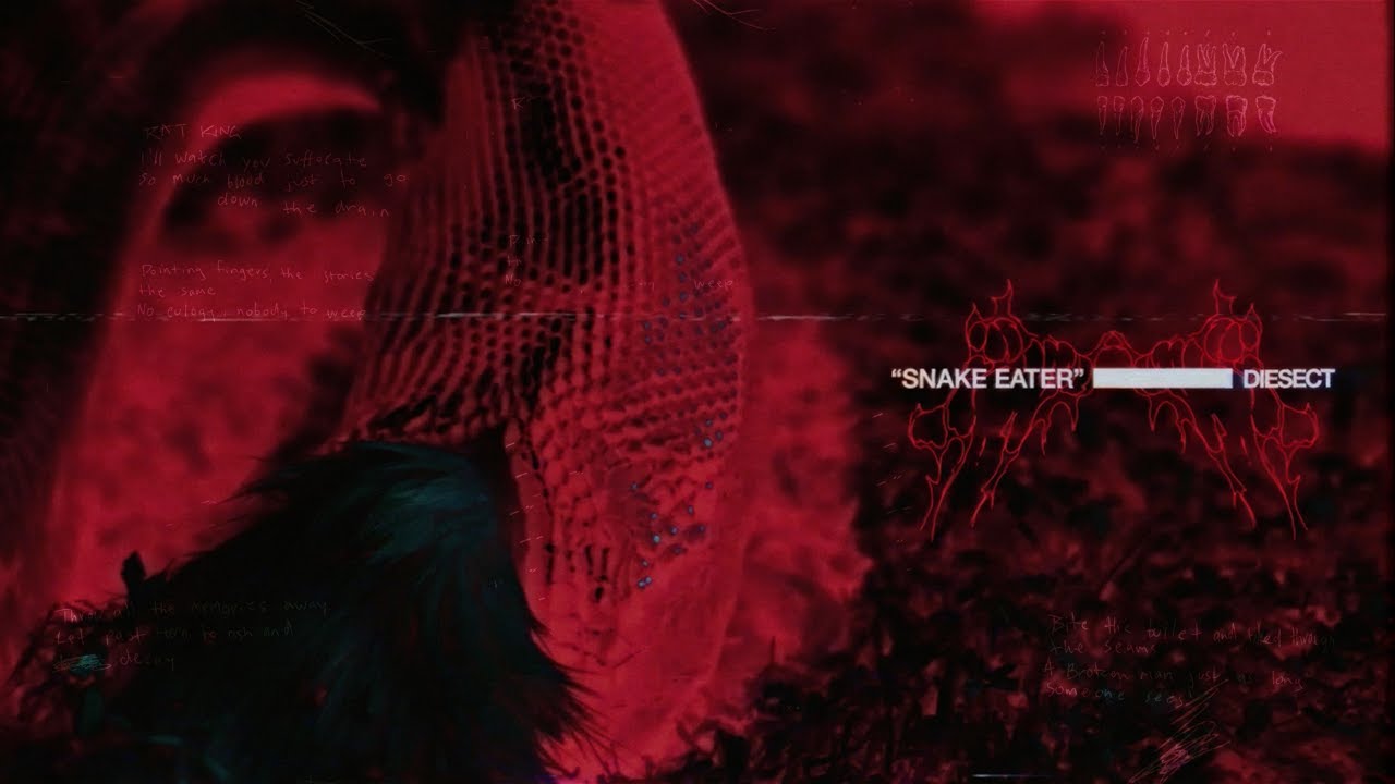 DIESECT  - SNAKE EATER [OFFICIAL MUSIC VIDEO]