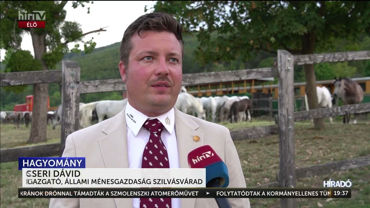 Szilvásváradon szervezték meg a Lipicai Nemzetközi Lovasgálát - HÍR TV+