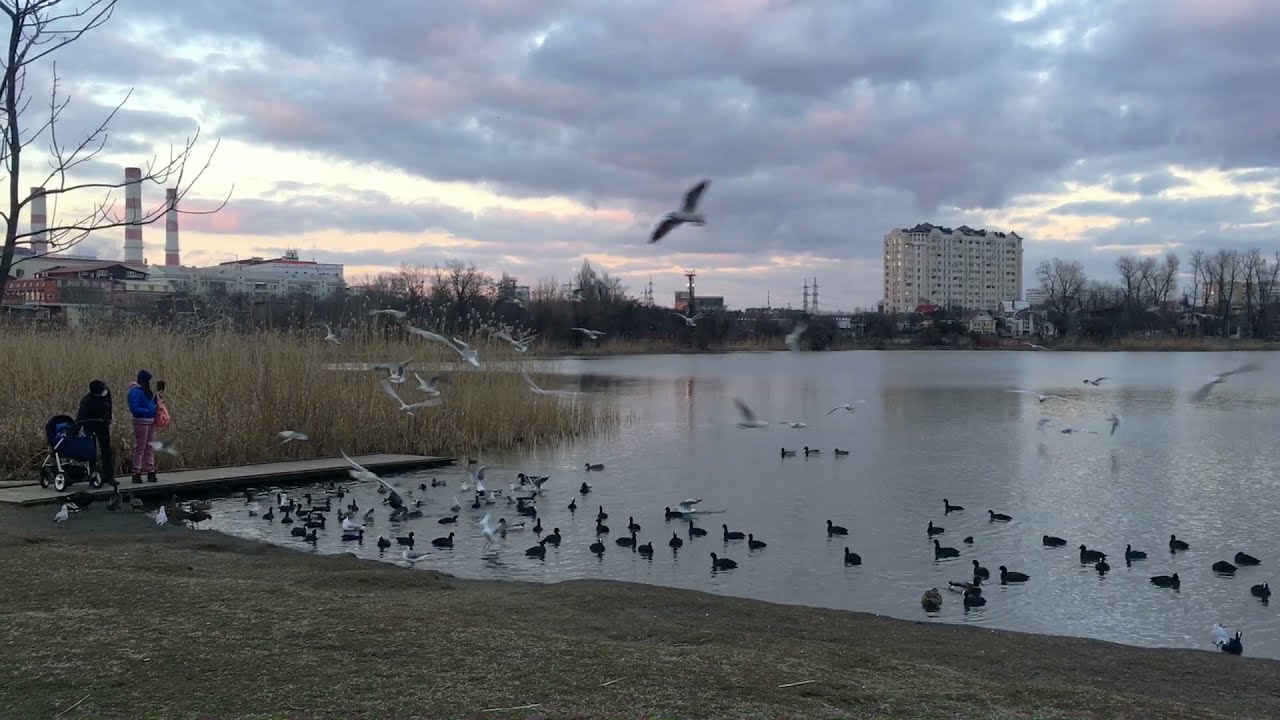 Завораживающий вид ,прекрасные звуки птиц