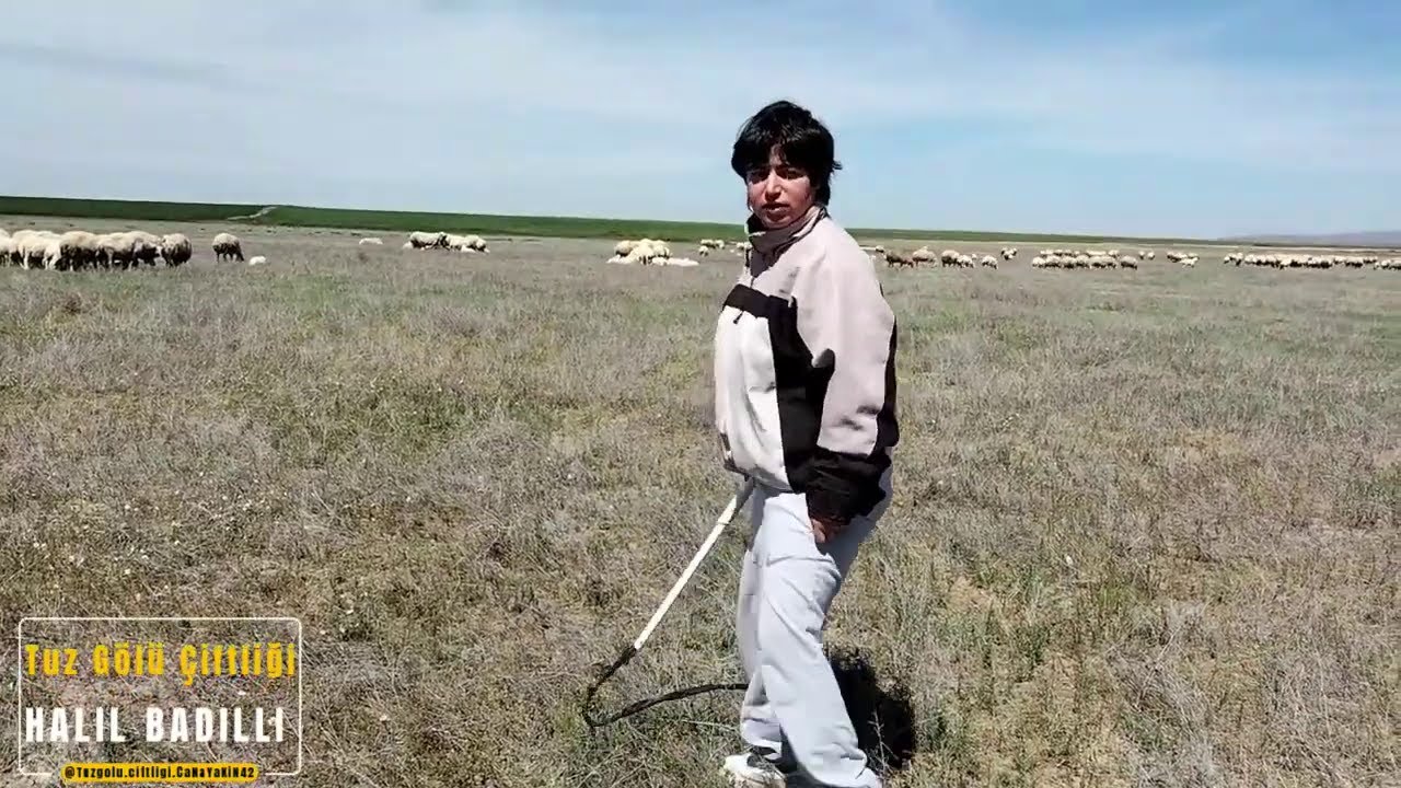 MELİKEM BUGÜN ÇOBANLIK YAPTI