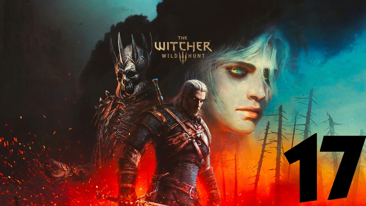 THE WITCHER 3 WILD HUNT GUÍA | CAPÍTULO 17 | Zoltan